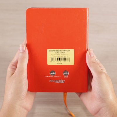 image_7f6e723a-e1de-4486-aa90-7630ddfc98bd