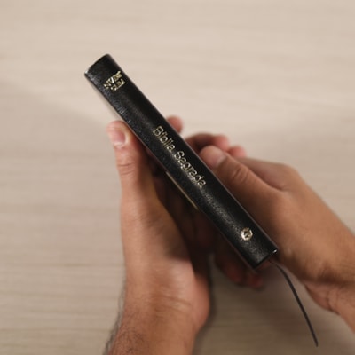 image_9db9872c-2a9a-4854-9fe2-01e4976979fd