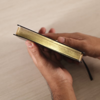 image_76e97a5f-9e28-4367-9e04-34ce39e91c12