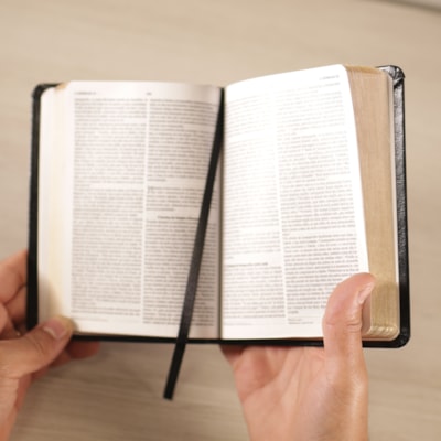 image_b21d26a8-85ec-4f16-ab52-746f25290b14