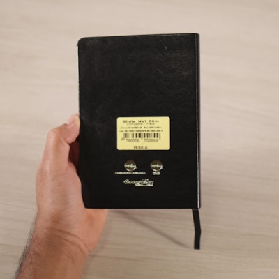 image_3600a917-82f0-4ade-8446-ea108ed66117