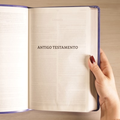 image_f083d2f3-6221-4f9e-ad27-f07fffa0f2ce