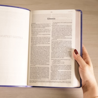 image_686dbc75-ef3a-4c5a-a135-32486ee31425