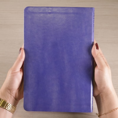 image_25de6e96-6dca-49ce-b94b-c134ddad800b