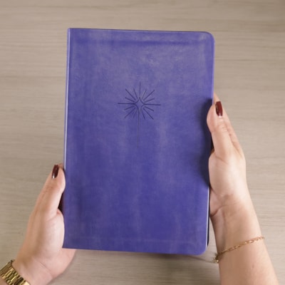 image_13c7c8f7-2c4b-4e5f-85f7-68e9ddc1f02b