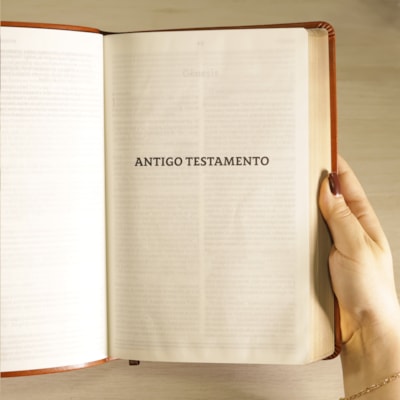 image_cc2a7e16-fc7b-435e-902c-08131233f003