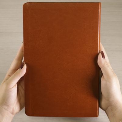 image_ae8ab390-68d6-464a-a9b6-d7f0dcd15a10