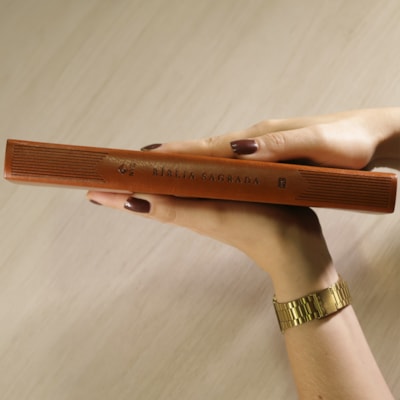 image_a7edcc7d-31a1-436a-9a30-d965d7c6a3bd