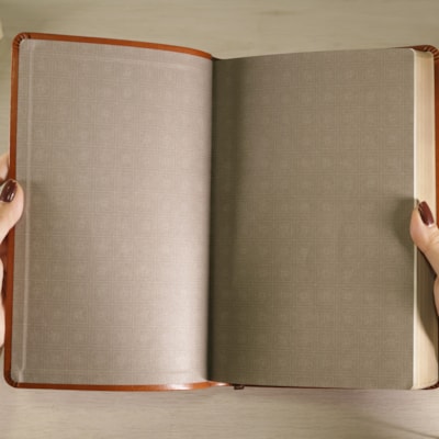 image_869da2c9-7f2c-4077-a43f-f15d20af88a2