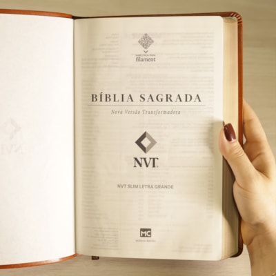 image_f0ea3485-b254-4c7c-ae81-23e95bb38192