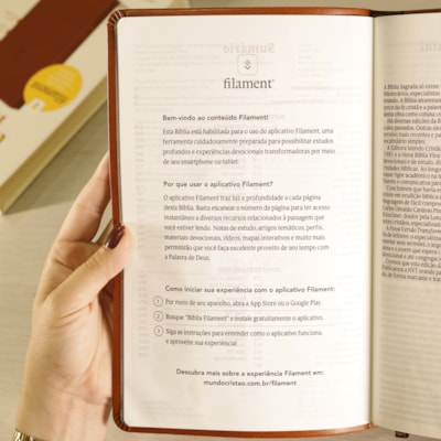 image_0964e831-b04c-44f9-a4dc-1e6c790ee37b