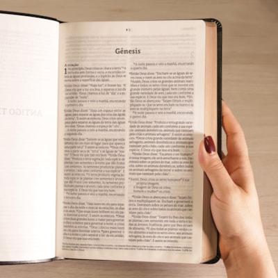 image_693aad96-9ff7-4dd9-8c10-7c4889513fe5