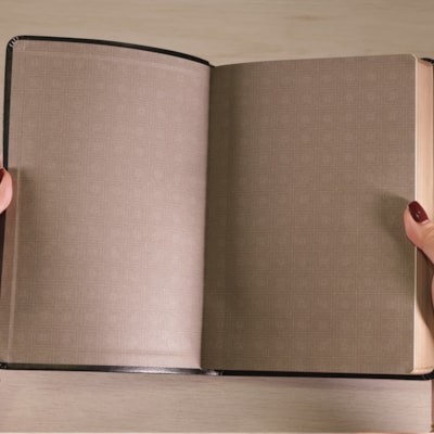 image_bb976f42-f79a-4154-a3f1-0eaaa8741288