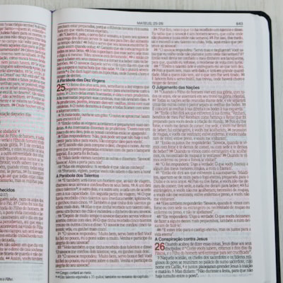 image_ce4cebe8-110e-4d4b-b8e8-ea90e767251d