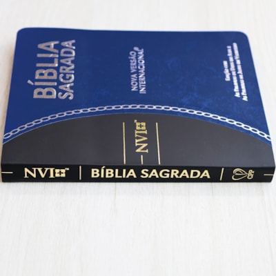 image_4d501c6c-5785-4bc5-ac54-9432e5fdc1d2