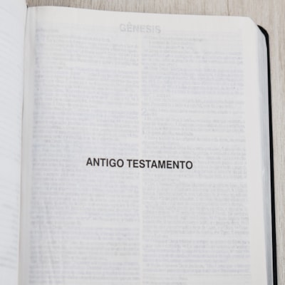 image_c10eaaba-0739-47f8-b5e2-8cc965d15172