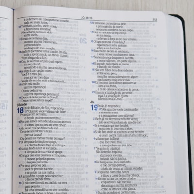 image_b54a90c4-8409-43ae-a570-d5dee3f14b8e