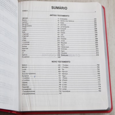 image_b391c221-ccb1-4f17-b12a-f814c2def9ce