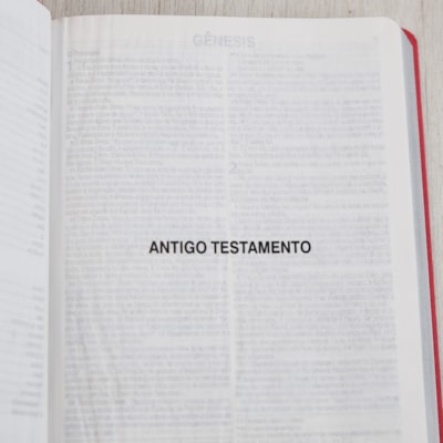 image_86938bff-a8b9-40f7-af99-29a33028ab49