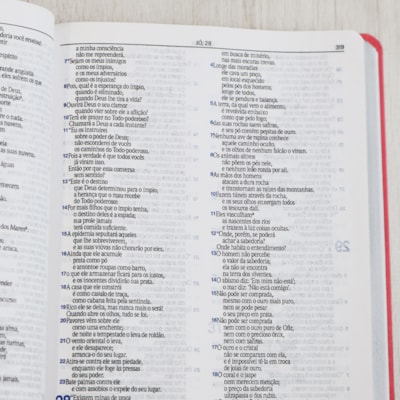 image_09557a3b-8c52-40c8-9437-1d65073e109b