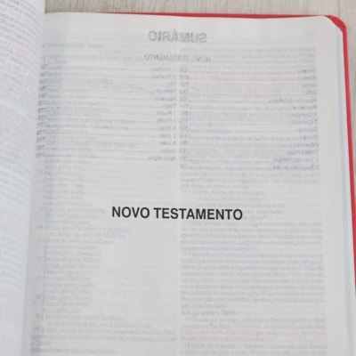 image_aa11335b-04a1-4ef9-8798-4c240a1eac57