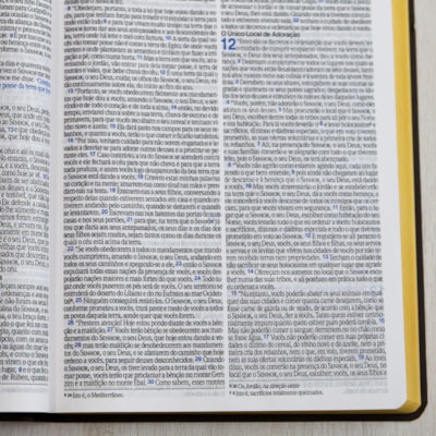 image_e0f4c8dc-dc38-47bb-af0e-50eab068bda1