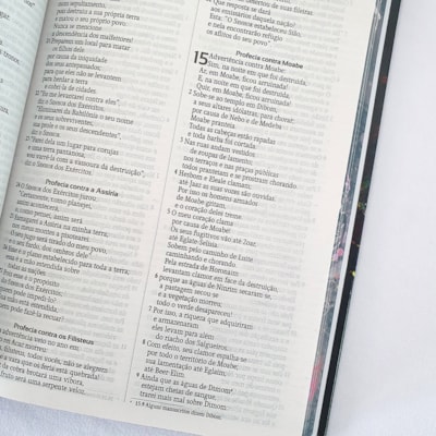 image_e07a5d19-d3ab-4620-8e6c-2f3fe512497a