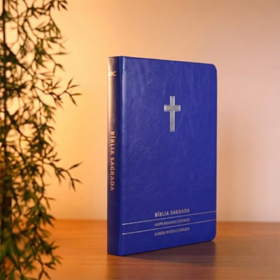 image_2cbaf37c-9e28-4e9f-b11d-0072122c0e56