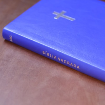 image_f15f2d2e-8ee2-4818-851c-26e2188409e5