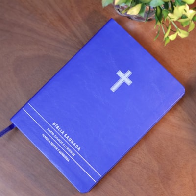 image_da1f5924-93c4-4948-b7c0-426240fce393