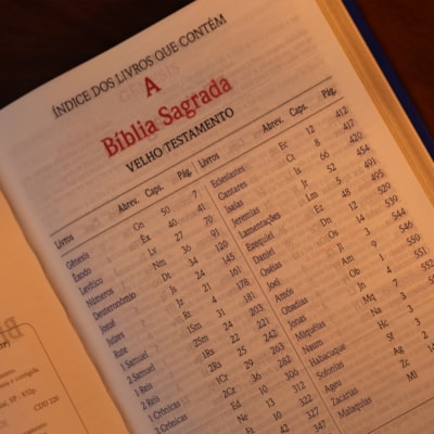 image_79bbe222-ba01-4aa5-a04d-2f7b17b85e6a