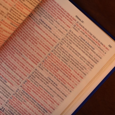 image_56613393-6902-4c9d-b3cb-00143f148de0