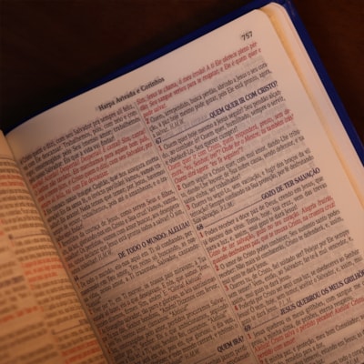 image_38b04f51-c005-474a-b97e-1bdbb092ba8d