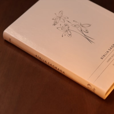 image_a3e1960f-0ea4-4801-8f4d-8c27cdbecc9c