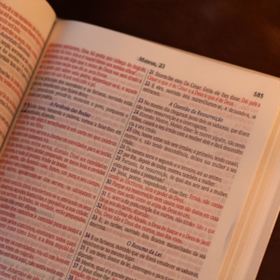 image_33c3c91a-da5e-4cb2-b691-b2dd2f744d8b