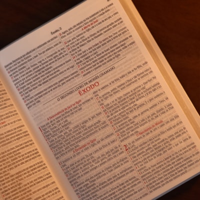 image_0f5e85f4-a131-4536-9414-6d109975718e