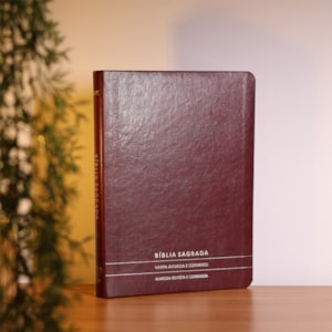 Segunda imagem do produto Bíblia Slim | Letra Normal | ARC | C/ Harpa e Corinhos | Capa Premium Luxo Minimalista Bordô