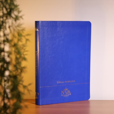 image_b9a0a951-16e0-4e3e-9825-9544b46100aa