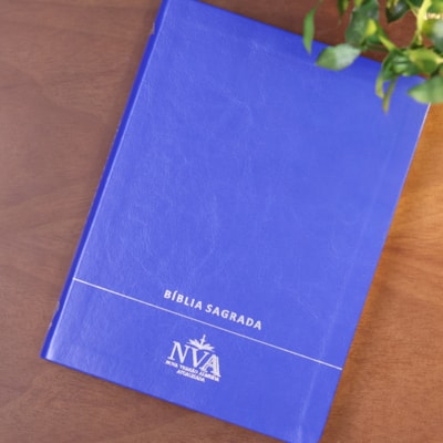 image_5c5c9bd0-13ad-435e-9a85-a401da1d705f