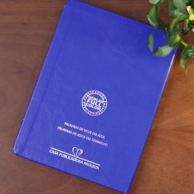 image_d6b29a35-ff56-45ef-b6d5-e69e5d9b2a8f