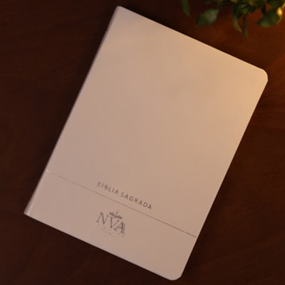 image_ae095c7e-a2f8-476a-836a-405d06fa1ac7