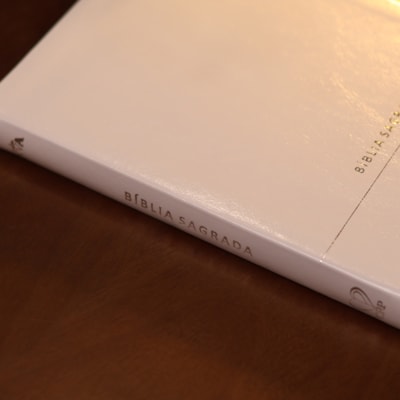 image_8b7276fc-d3e3-42d3-adb4-8f745def8cd5