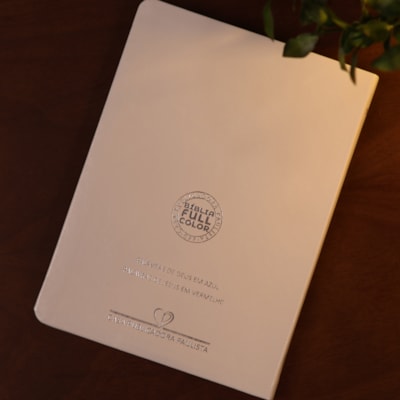 image_a134e33f-34d6-4a48-8e05-aac2d8f69fa1