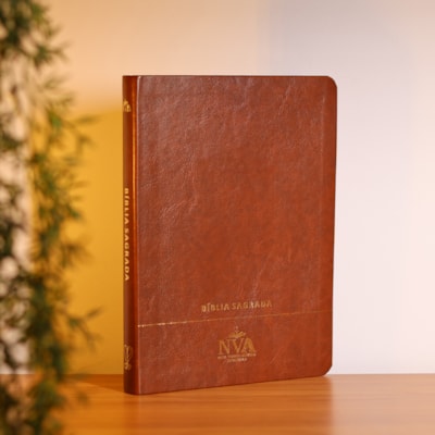 image_2b7ae296-c42a-4165-9672-7956d7f3527d