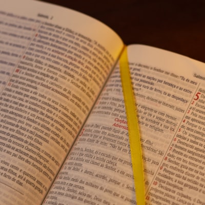 image_1a3fde9f-2ba3-4dca-ba76-b7466afe2be3