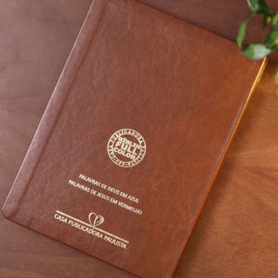 image_fec87ffa-0c7a-4a48-91a0-14bc58cfba63