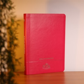 Segunda imagem do produto Bíblia Slim | Letra Normal | NVA | Capa Premium Luxo Minimalista Pink