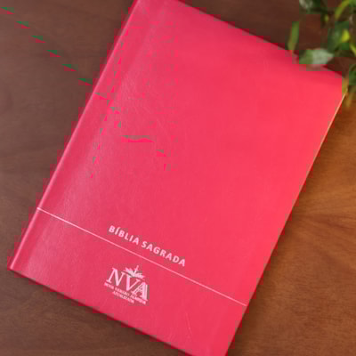 image_4244a82a-fb01-4c20-adc3-3bec59fe34eb