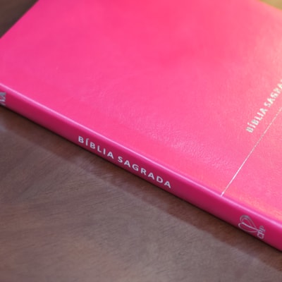 image_5d63a679-35ad-40d2-8181-bc4f2f4da545