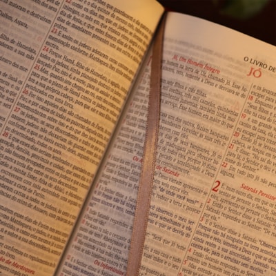 image_754fd80b-f05f-4b3b-8c26-7afae07c4217